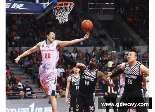 彩神v8官网CBA总决赛赛程正式确定：广东队与辽宁队将上演巅峰对决 - 副本