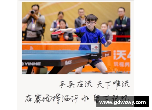 彩神v8官网乒乓球盛事：马龙的挑战与未来展望